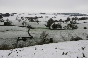 early snow in the dale