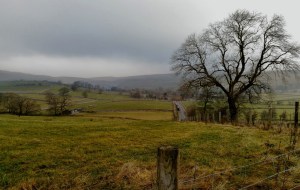 not as mild as it looks - a snowless Malhamdale in January